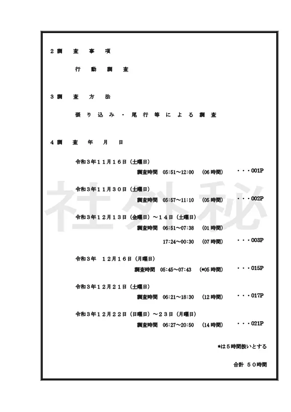 調査報告書サンプル2