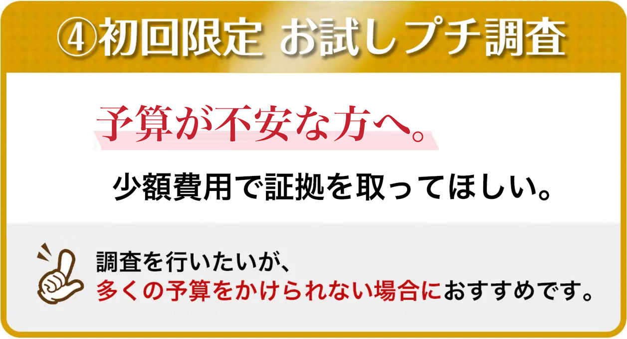 初回限定お試しプチ調査